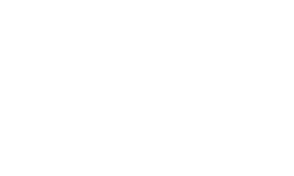 Aresplay Partner Spinmatic