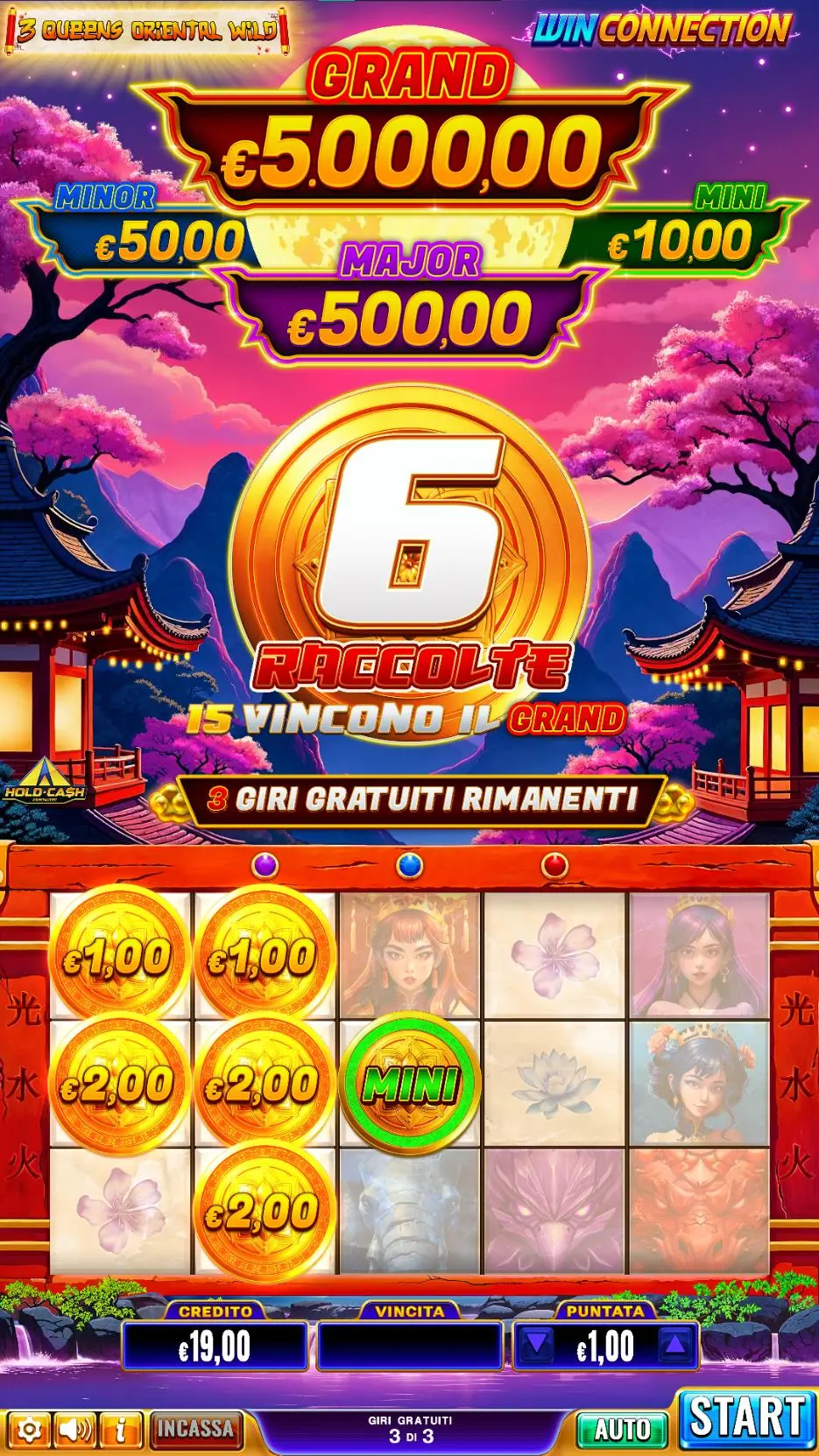 3 Queen Oriental Wild