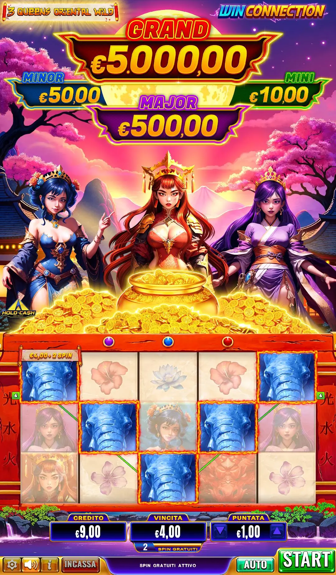 3 Queen Oriental Wild